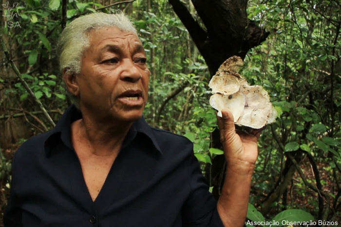 A Pandemia não é a Mesma para Todos